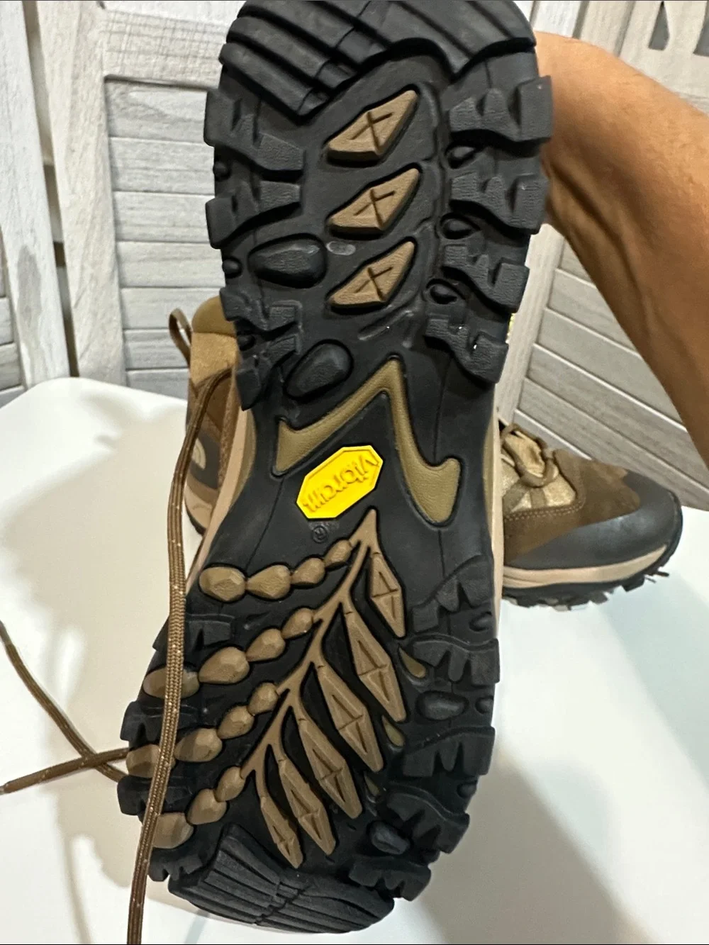 The North Face Men's Tan/Brown Trail Hiking Boots